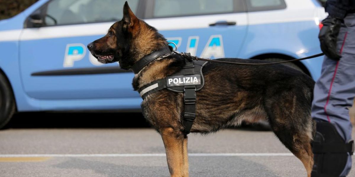 LOTTA ALLO SPACCIO E IMMIGRAZIONE CLANDESTINA: CONTROLLI E UN ARRESTO A LUCO DEI MARSI