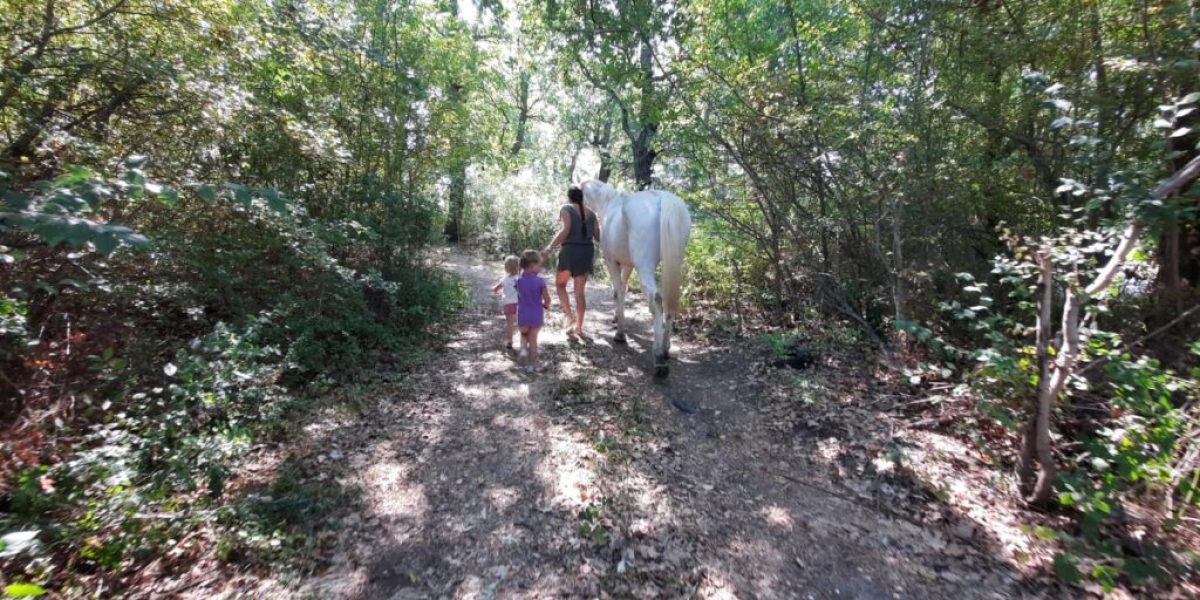 FAMIGLIA NEL BOSCO: OSSERVATORIO MINORI, “DEBACLE SISTEMA ISTITUZIONALE”