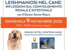 LEISHMANIOSI CANINA: A MONTESILVANO SEMINARIO CON XAVIER ROURA, ALLA PRESENZA DI 300 VETERINARI lcnd