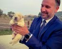 CANE PASTORE ABRUZZESE MAREMMANO: LIRIS, "IL RICONOSCIMENTO UFFICIALE RENDE GIUSTIZIA ALLA REGIONE" 71b9f463-e2cf-45c8-97a2-763f6387b351